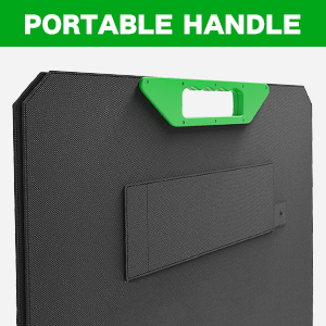 Portable handle